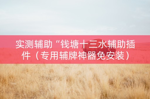 实测辅助“钱塘十三水辅助插件（专用辅牌神器免安装）
