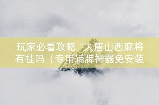 玩家必看攻略“大唐山西麻将有挂吗（专用辅牌神器免安装）