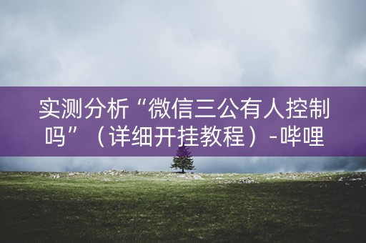实测分析“微信三公有人控制吗”（详细开挂教程）-哔哩哔哩