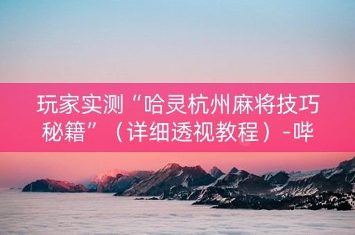 玩家实测“哈灵杭州麻将技巧秘籍”（详细透视教程）-哔哩哔哩
