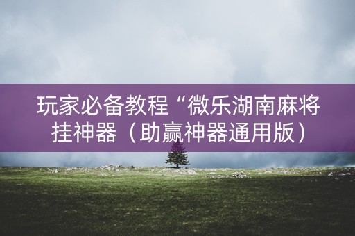 玩家必备教程“微乐湖南麻将挂神器（助赢神器通用版）