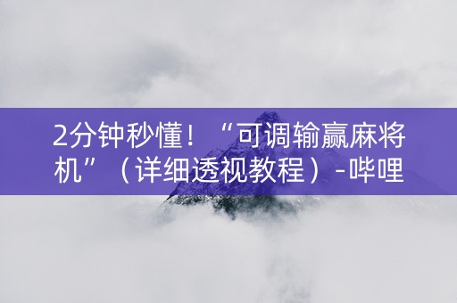 2分钟秒懂！“可调输赢麻将机”（详细透视教程）-哔哩哔哩