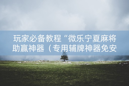 玩家必备教程“微乐宁夏麻将助赢神器（专用辅牌神器免安装）