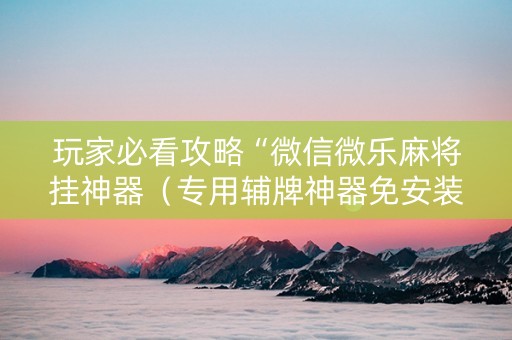 玩家必看攻略“微信微乐麻将挂神器（专用辅牌神器免安装）