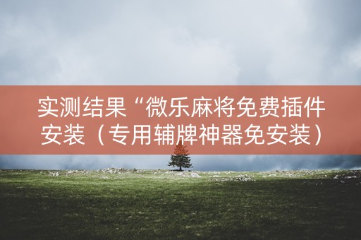 实测结果“微乐麻将免费插件安装（专用辅牌神器免安装）