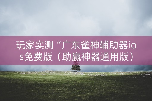 玩家实测“广东雀神辅助器ios免费版（助赢神器通用版）