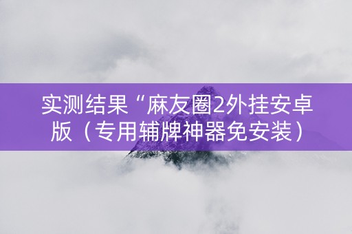 实测结果“麻友圈2外挂安卓版（专用辅牌神器免安装）