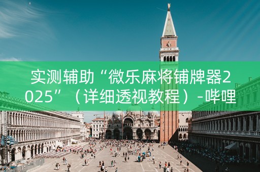 实测辅助“微乐麻将铺牌器2025”（详细透视教程）-哔哩哔哩