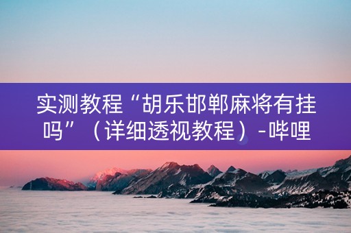 实测教程“胡乐邯郸麻将有挂吗”（详细透视教程）-哔哩哔哩
