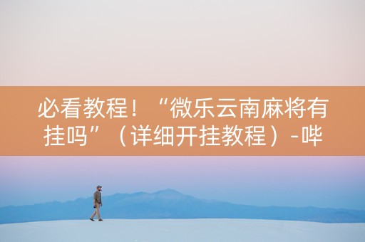 必看教程！“微乐云南麻将有挂吗”（详细开挂教程）-哔哩哔哩
