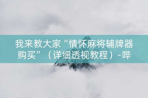 我来教大家“情怀麻将辅牌器购买”（详细透视教程）-哔哩哔哩