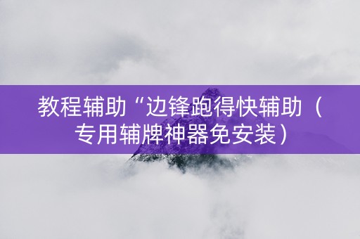 教程辅助“边锋跑得快辅助（专用辅牌神器免安装）