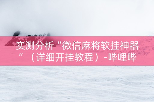 实测分析“微信麻将软挂神器”（详细开挂教程）-哔哩哔哩