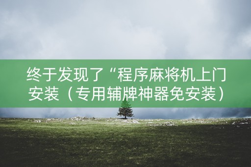 终于发现了“程序麻将机上门安装（专用辅牌神器免安装）