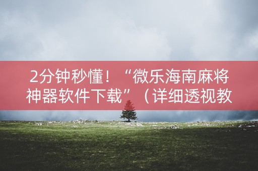 2分钟秒懂！“微乐海南麻将神器软件下载”（详细透视教程）-哔哩哔哩