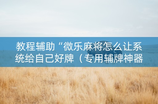 教程辅助“微乐麻将怎么让系统给自己好牌（专用辅牌神器免安装）