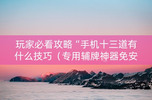 玩家必看攻略“手机十三道有什么技巧（专用辅牌神器免安装）