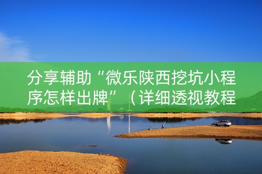 分享辅助“微乐陕西挖坑小程序怎样出牌”（详细透视教程）-哔哩哔哩