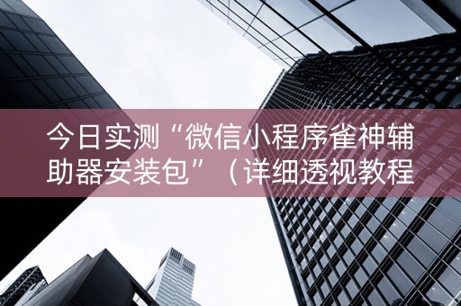 今日实测“微信小程序雀神辅助器安装包”（详细透视教程）-哔哩哔哩