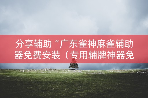 分享辅助“广东雀神麻雀辅助器免费安装（专用辅牌神器免安装）