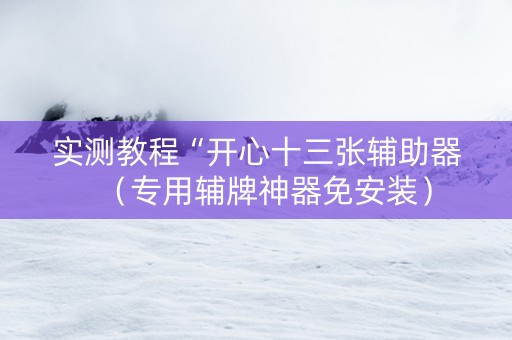 实测教程“开心十三张辅助器（专用辅牌神器免安装）