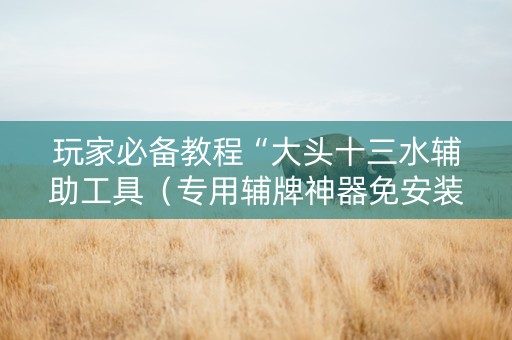 玩家必备教程“大头十三水辅助工具（专用辅牌神器免安装）