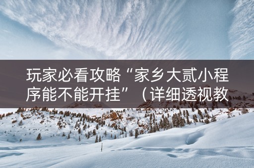 玩家必看攻略“家乡大贰小程序能不能开挂”（详细透视教程）-哔哩哔哩