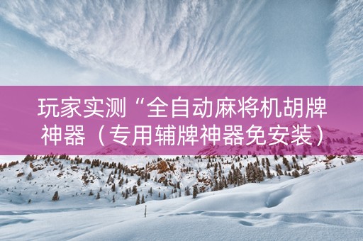 玩家实测“全自动麻将机胡牌神器（专用辅牌神器免安装）