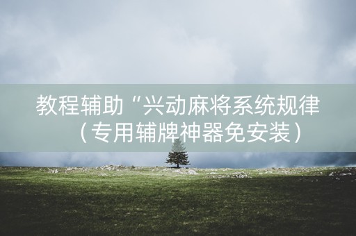 教程辅助“兴动麻将系统规律（专用辅牌神器免安装）