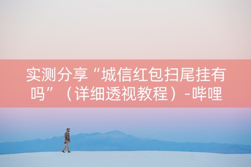 实测分享“城信红包扫尾挂有吗”（详细透视教程）-哔哩哔哩