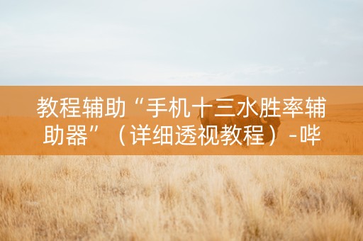 教程辅助“手机十三水胜率辅助器”（详细透视教程）-哔哩哔哩