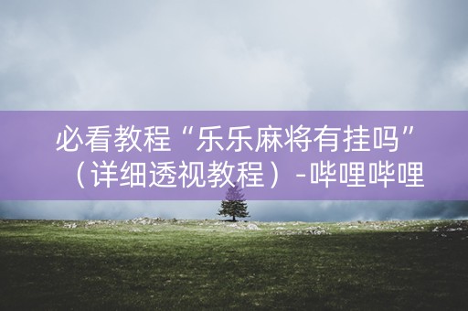 必看教程“乐乐麻将有挂吗”（详细透视教程）-哔哩哔哩