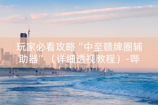 玩家必看攻略“中至赣牌圈辅助器”（详细透视教程）-哔哩哔哩
