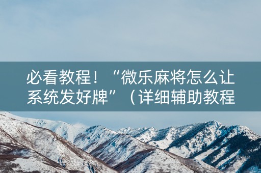 必看教程！“微乐麻将怎么让系统发好牌”（详细辅助教程）-哔哩哔哩