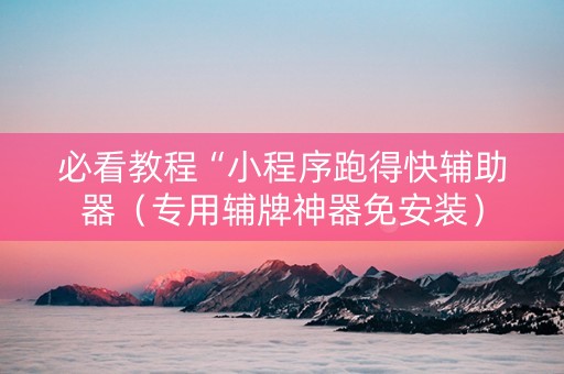 必看教程“小程序跑得快辅助器（专用辅牌神器免安装）