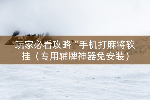 玩家必看攻略“手机打麻将软挂（专用辅牌神器免安装）
