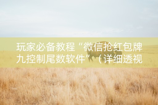 玩家必备教程“微信抢红包牌九控制尾数软件”（详细透视教程）-哔哩哔哩