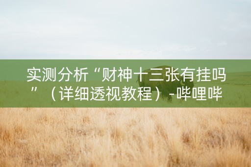 实测分析“财神十三张有挂吗”（详细透视教程）-哔哩哔哩