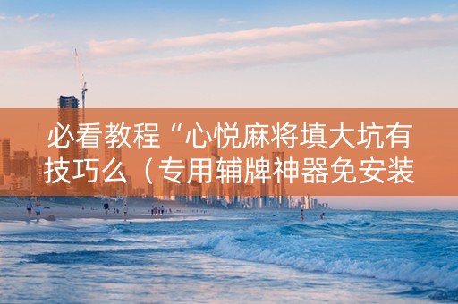 必看教程“心悦麻将填大坑有技巧么（专用辅牌神器免安装）