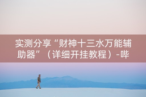 实测分享“财神十三水万能辅助器”（详细开挂教程）-哔哩哔哩