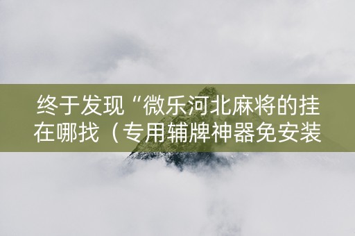 终于发现“微乐河北麻将的挂在哪找（专用辅牌神器免安装）