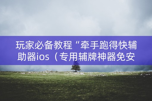 玩家必备教程“牵手跑得快辅助器ios（专用辅牌神器免安装）
