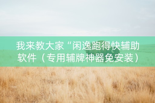 我来教大家“闲逸跑得快辅助软件（专用辅牌神器免安装）