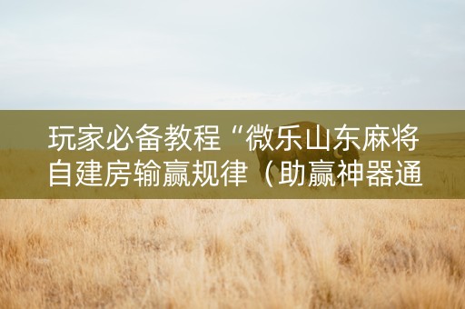 玩家必备教程“微乐山东麻将自建房输赢规律（助赢神器通用版）
