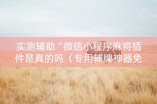 实测辅助“微信小程序麻将插件是真的吗（专用辅牌神器免安装）