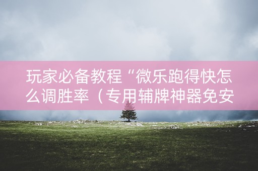 玩家必备教程“微乐跑得快怎么调胜率（专用辅牌神器免安装）