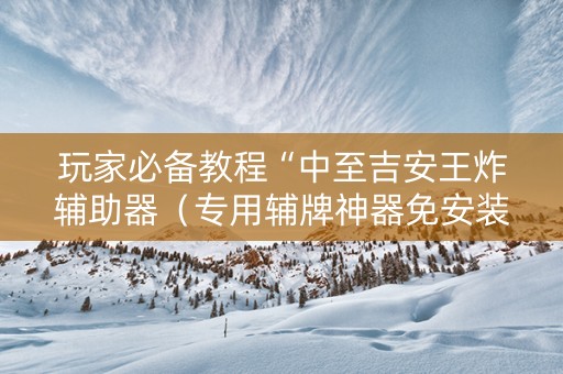 玩家必备教程“中至吉安王炸辅助器（专用辅牌神器免安装）