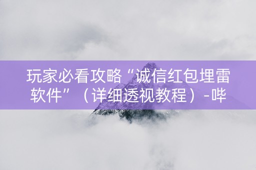 玩家必看攻略“诚信红包埋雷软件”（详细透视教程）-哔哩哔哩
