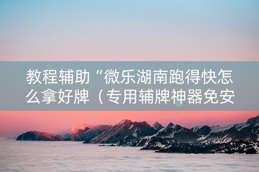 教程辅助“微乐湖南跑得快怎么拿好牌（专用辅牌神器免安装）