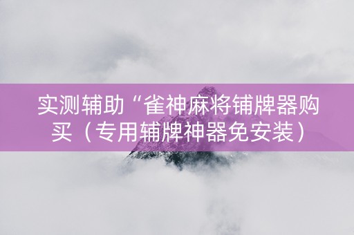 实测辅助“雀神麻将铺牌器购买（专用辅牌神器免安装）
